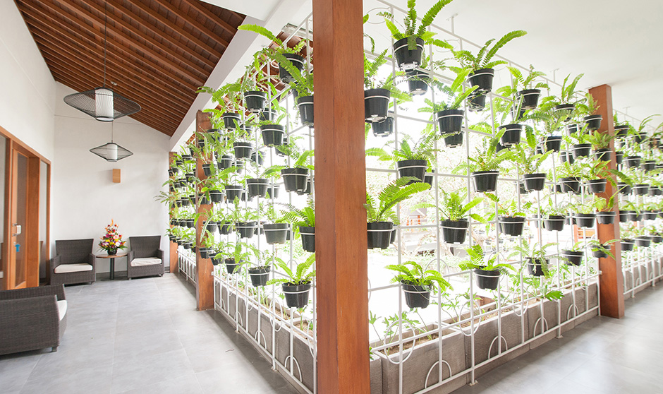 Apple Bali Villa